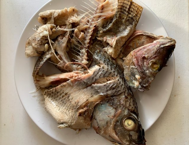 Что положить в лунку при посадке помидоров: 10 рецептов от читателей