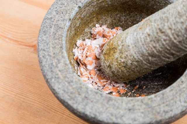 Что положить в лунку при посадке помидоров: 10 рецептов от читателей