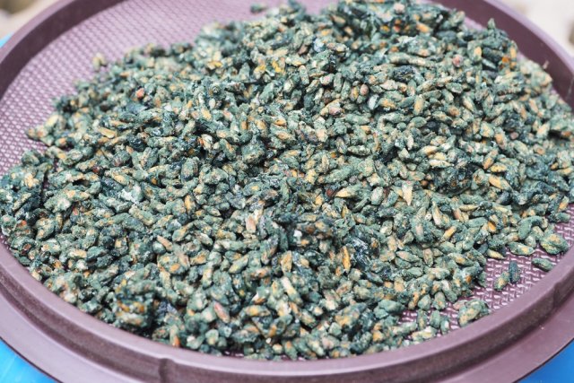 Что положить в лунку при посадке помидоров: 10 рецептов от читателей