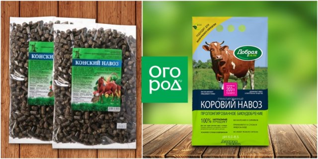 10 азотных удобрений, которые помогут вам весной 