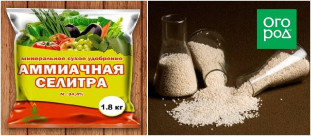 10 азотных удобрений, которые помогут вам весной 