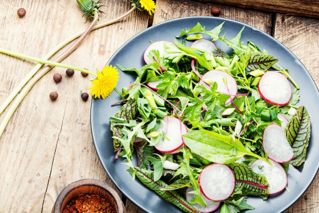 10 блюд из молодой крапивы – от супа и салата до пирога и кексов