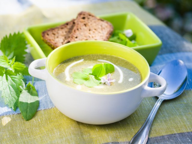 10 блюд из молодой крапивы – от супа и салата до пирога и кексов