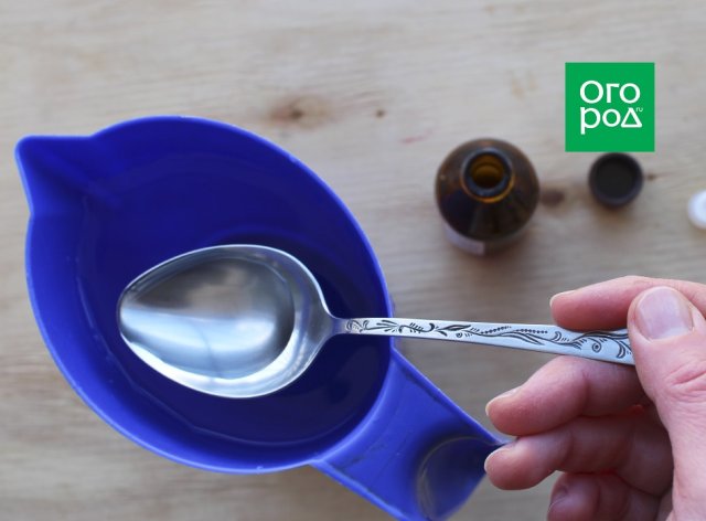 10 народных средств от болезней и вредителей комнатных растений