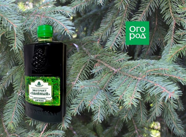 10 народных средств от болезней и вредителей комнатных растений