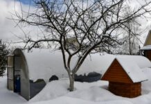 10 дел, которые нужно успеть сделать на даче в феврале