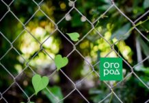 10 идей, как украсить забор из сетки-рабицы