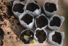 12 способов, как сделать горшочки для рассады своими руками