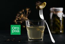 12 способов применения рассола