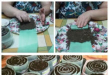 13 необычных способов выращивания рассады. Какой выберете вы?