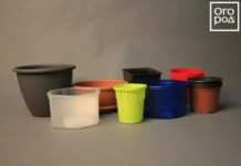 15 ошибок при выращивании рассады, которые мы допускаем чаще всего