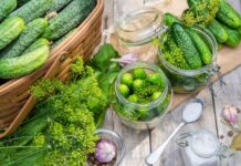 20 популярных сортов и гибридов огурцов для засолки и консервирования