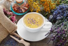 20 травяных чаев для укрепления здоровья: составы, рецепты, советы по применению