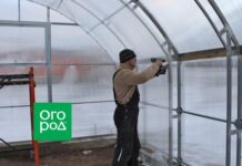 Двухслойная теплица из поликарбоната: как построить и в чем смысл