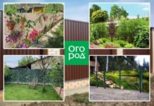 Фотосетка в ландшафтном дизайне: что это и для чего нужно