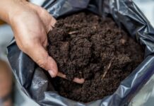 Где хранить грунт и удобрения в квартире