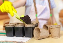 Грунт для рассады из магазина: сразу сеять или подготавливать?