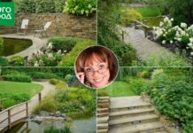 Как обустроить участок со склоном: ландшафтный архитектор показывает свой вариант