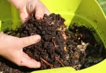 Как пользоваться биогумусом – подробная инструкция по применению удобрения