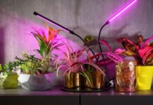 Как выбрать фитолампу: по цвету, мощности, размеру