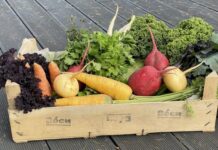 Как вырастить овощи без «химии»? Рассказывают владельцы органической фермы