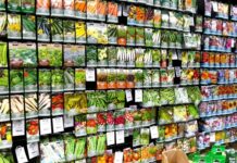 Какие сорта овощей и зелени стоит посадить в сезоне 2022