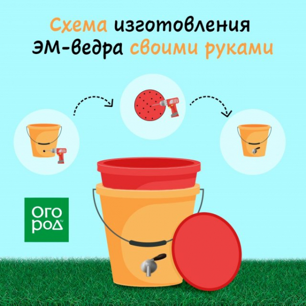 Компост в квартире: готовим удобрение и сохраняем экологию 