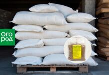 Костная или фосфоритная – выбираем муку для грядок