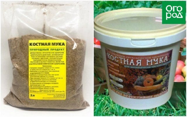 Костная или фосфоритная – выбираем муку для грядок 