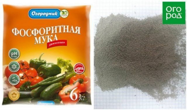 Костная или фосфоритная – выбираем муку для грядок 