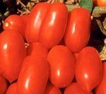 Лучшие сорта и гибриды помидоров для засолки и консервирования: ТОП-36 