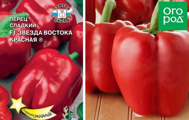Лучшие сорта и гибриды сладкого перца для средней полосы России 