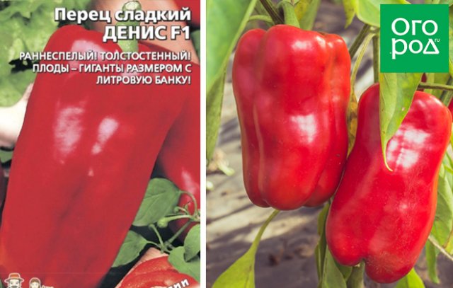 Лучшие сорта и гибриды сладкого перца для средней полосы России 