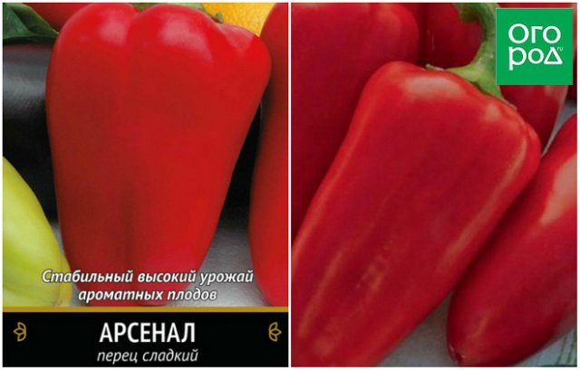Лучшие сорта и гибриды сладкого перца для средней полосы России 