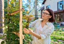 Опоры для растений своими руками – 15 отличных вариантов для сада и огорода