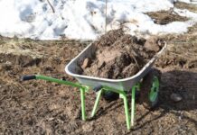 Подкормки по снегу – что, где и зачем сыпать