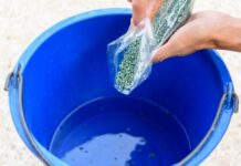 Школа Огорода: триходерма – что это за гриб, как и когда его применяют