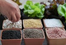 «Сколько вешать в граммах?» Удобная таблица веса и объема всех удобрений