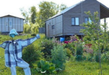 Сыр, дача и прочий Country Club: как кардинально изменить жизнь и перестать работать на «дядю»