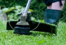 Вечные вопросы: что делать с междурядьями?