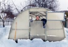 Закидывать снег в теплицу – польза или пустая трата времени?