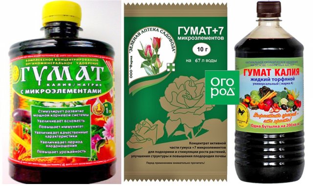 6 удобрений, без которых весной как без рук 