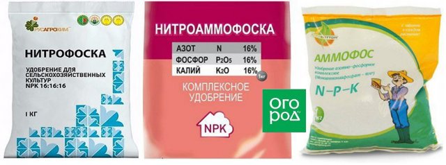 6 удобрений, без которых весной как без рук 