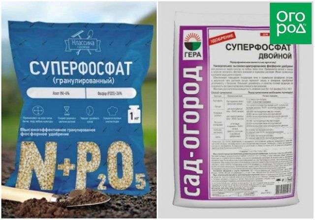 6 удобрений, без которых весной как без рук 