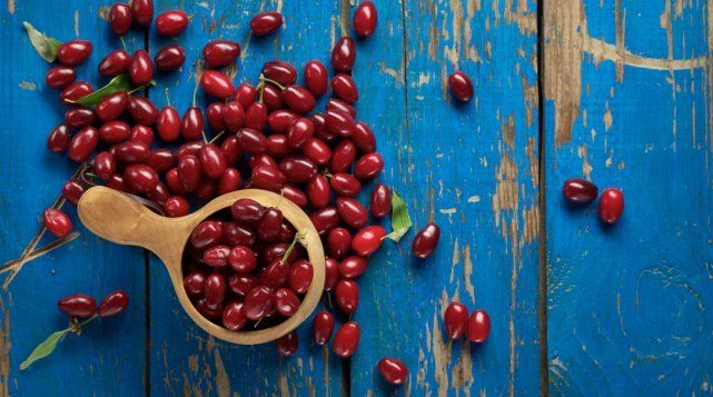 9 диковинных плодовых деревьев и кустарников для вашего сада 