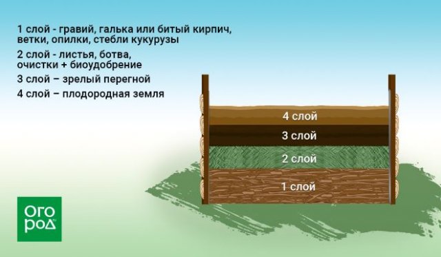 Грядки Курдюмова: как сделать и ухаживать 