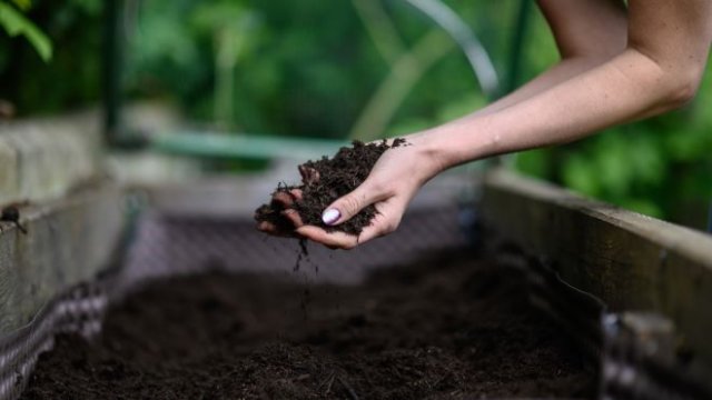Грядки Курдюмова: как сделать и ухаживать 
