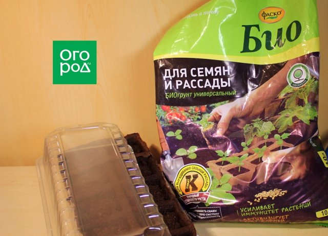 Как вырастить рассаду баклажанов – пошаговый мастер-класс с фото 