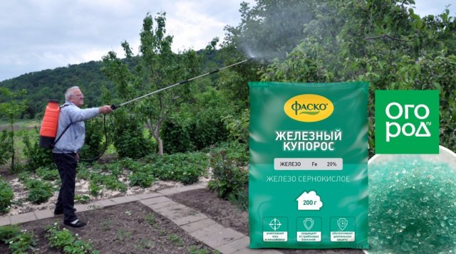 Какой купорос лучше – медный или железный? 