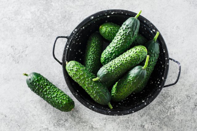 Огурцы в русской, немецкой и голландской "рубашке" – какие лучше? 